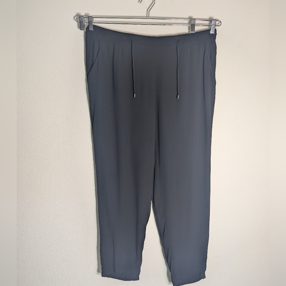 Eileen Fisher Women's Pants 100% Silk Elastic Drawstring Waist Straight Leg XL